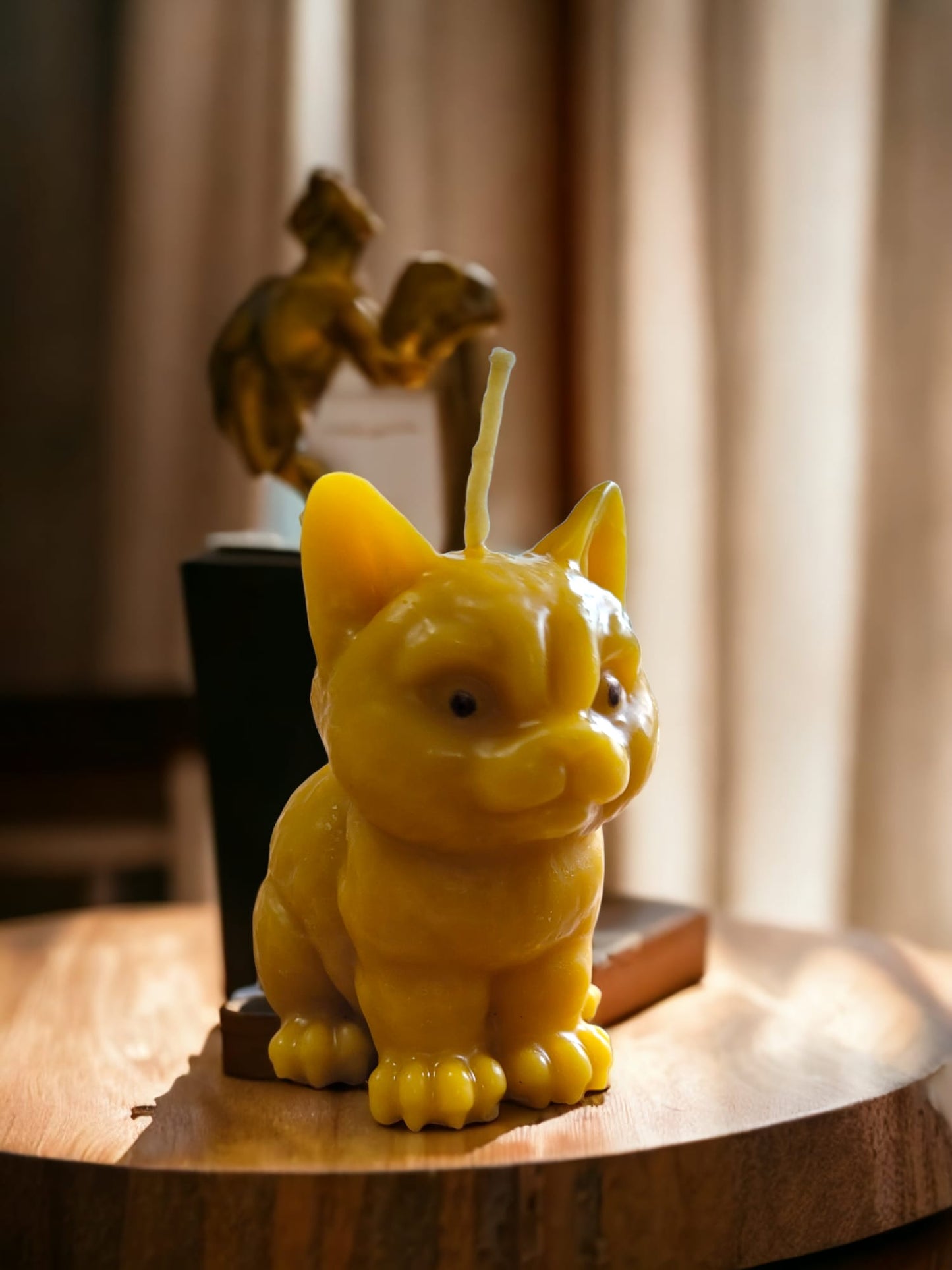 3D Cat Candle-Donagh Bees