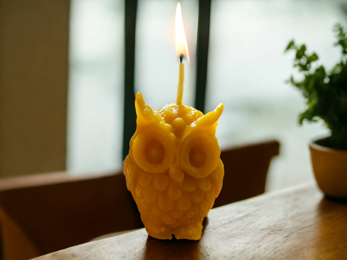 Owl Candle-Donagh Bees