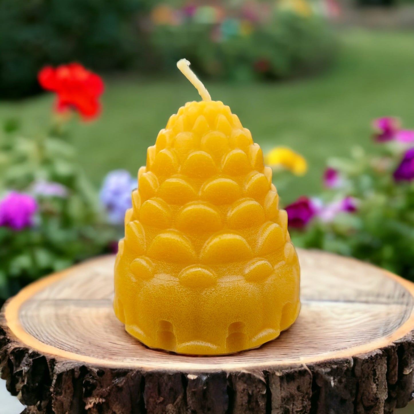 Pine Cones candle-Donagh Bees