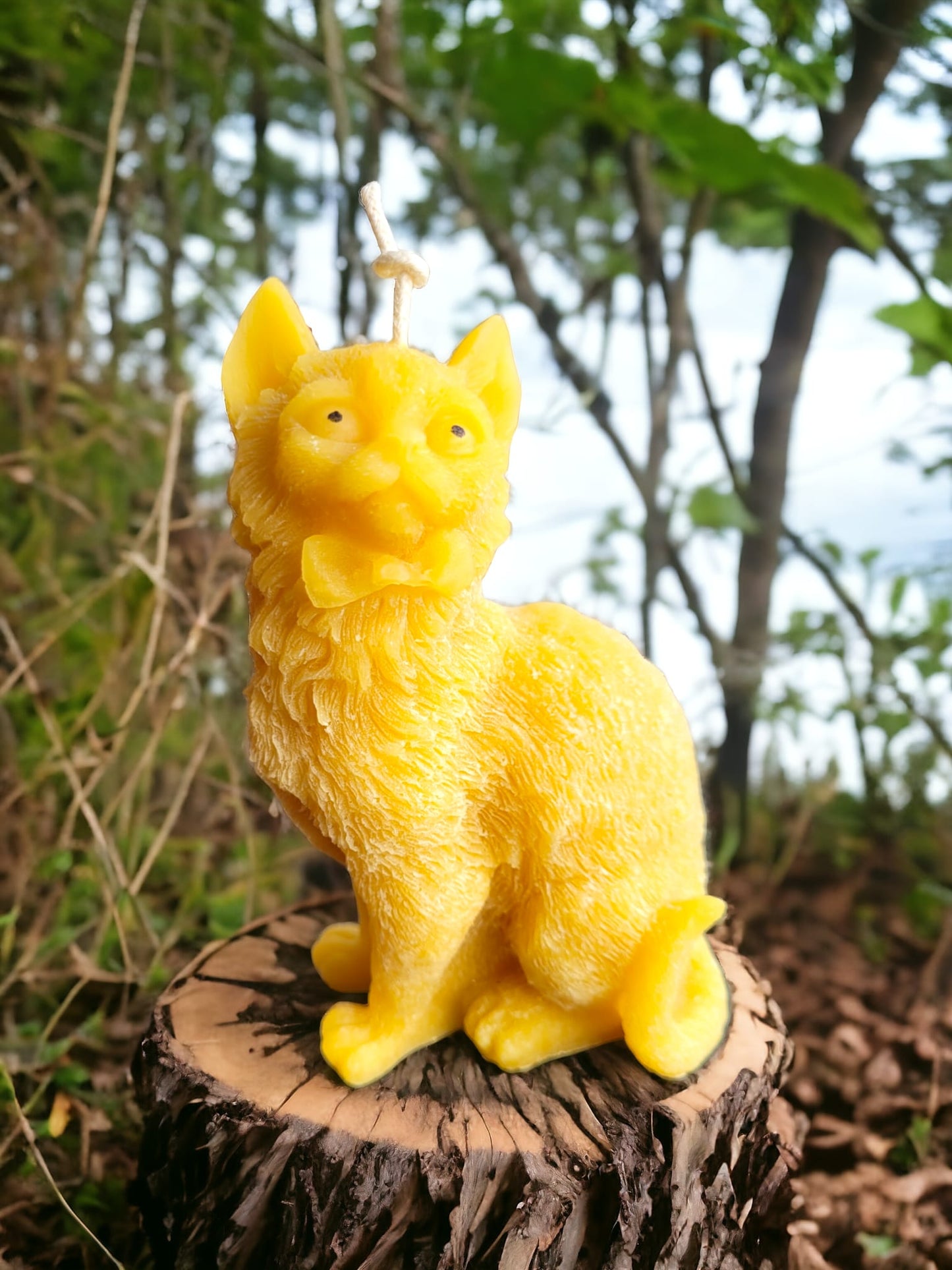 Cat Candle-Donagh Bees
