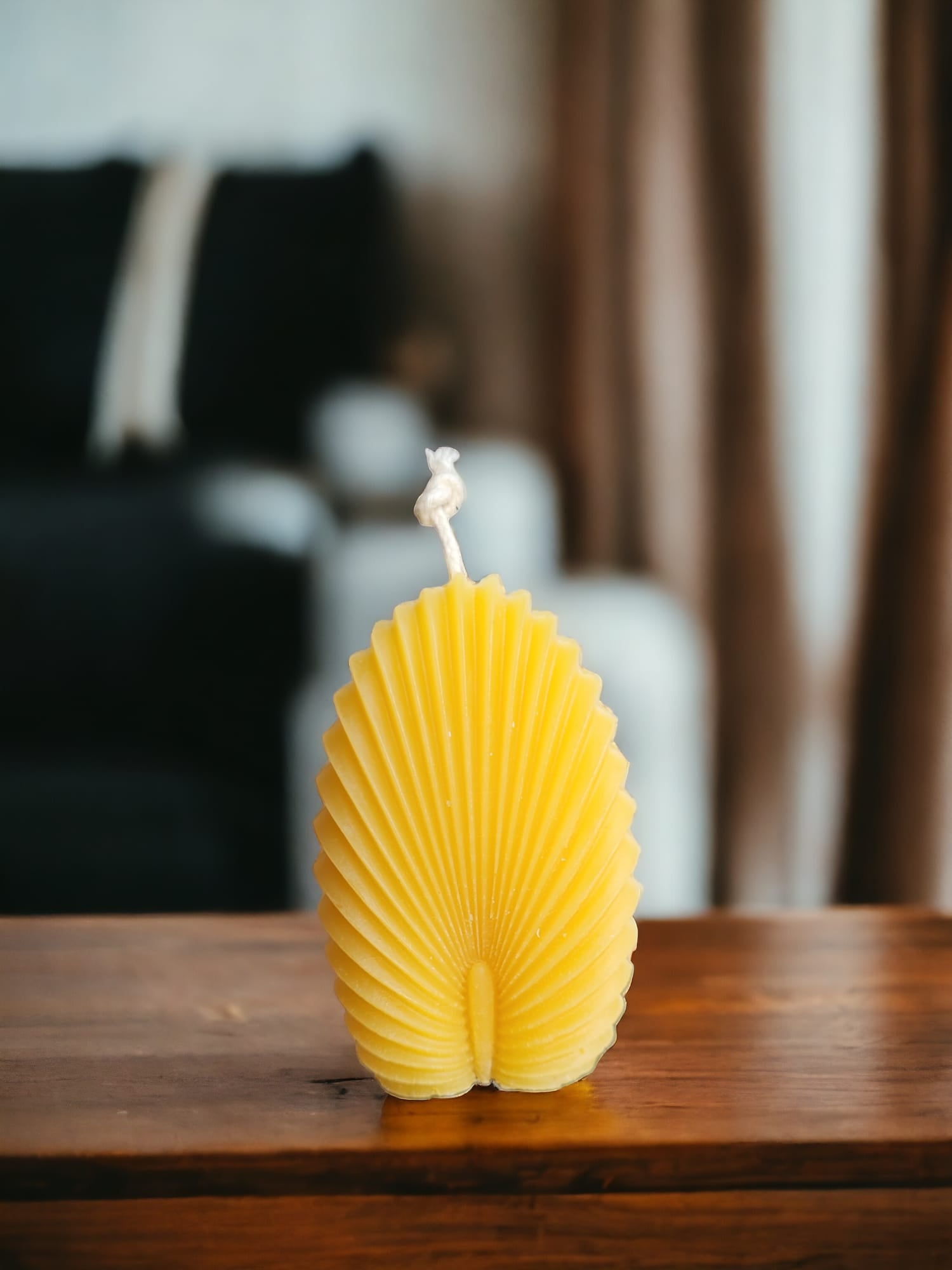 Fan Shell Candle-Donagh Bees