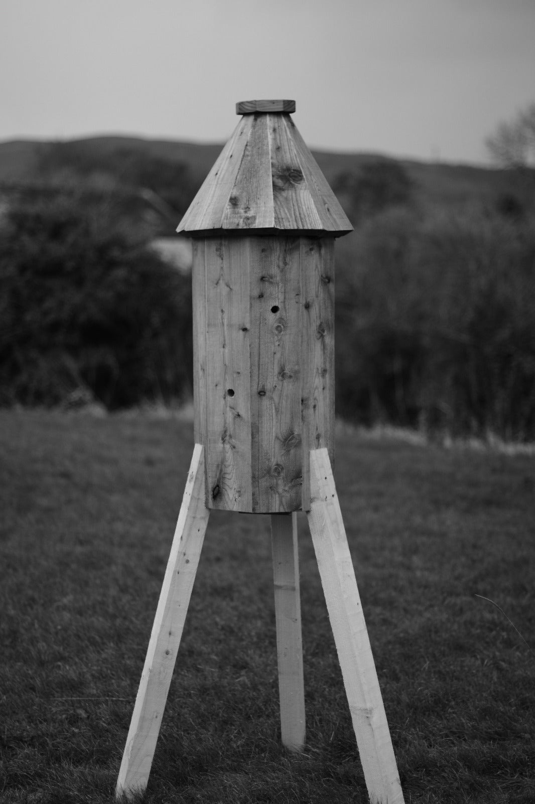 Freedom Beehive-Donagh Bees