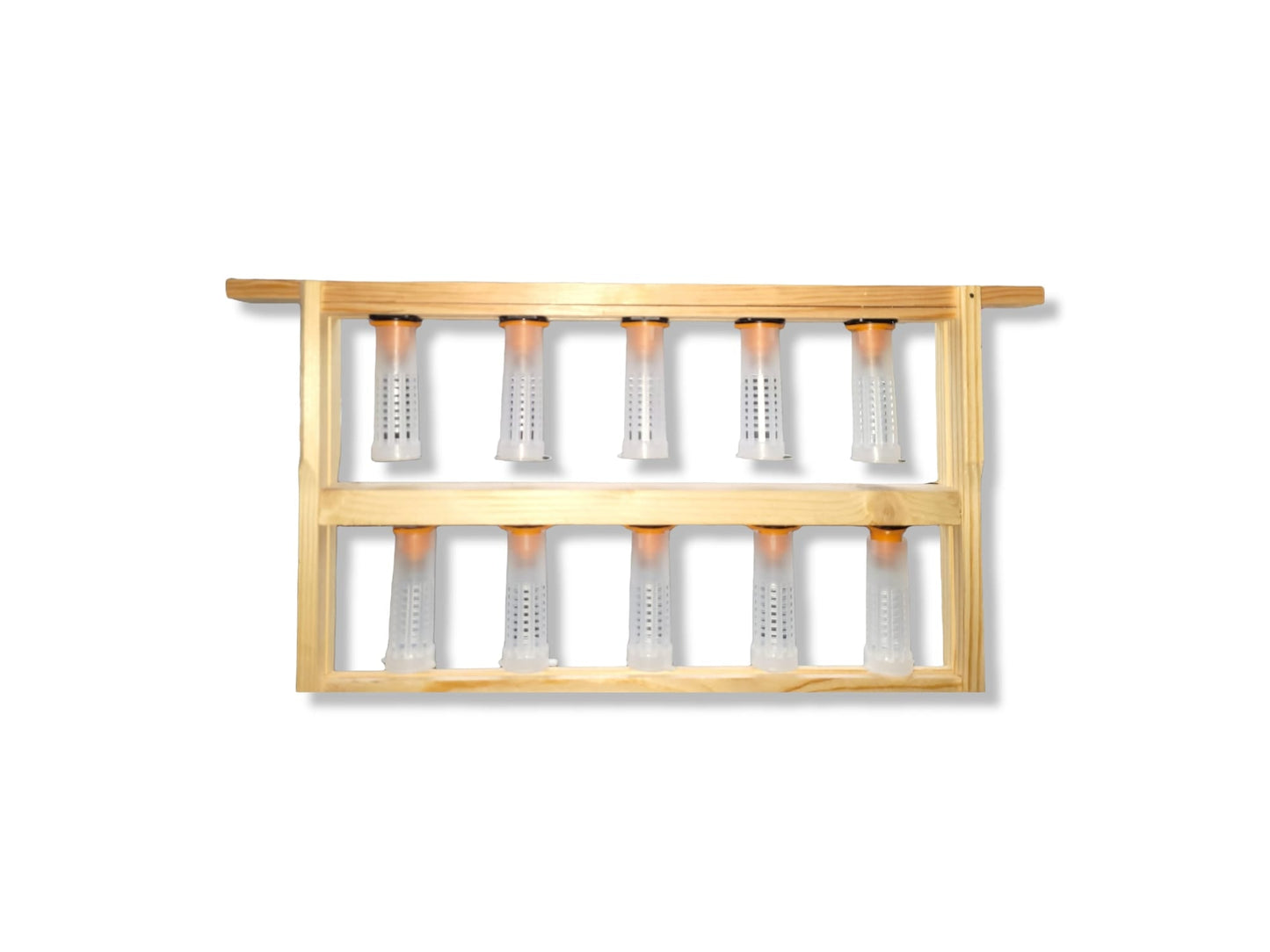 National Queen Rearing Frame-Donagh Bees