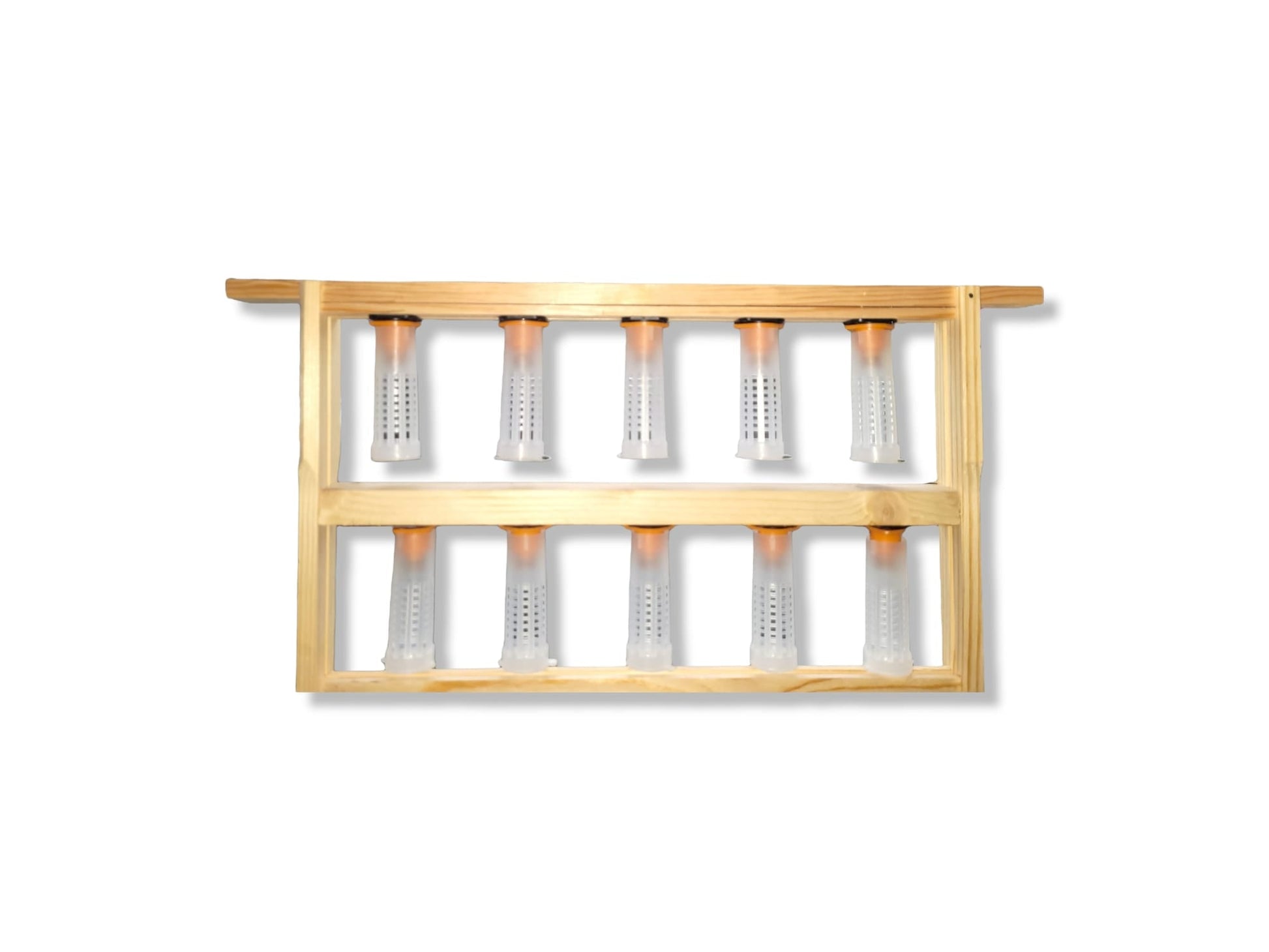 National Queen Rearing Frame-Donagh Bees