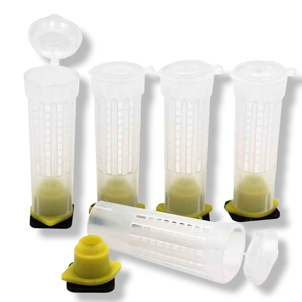 Queen Cell Protector Cage 10 Pack-Donagh Bees