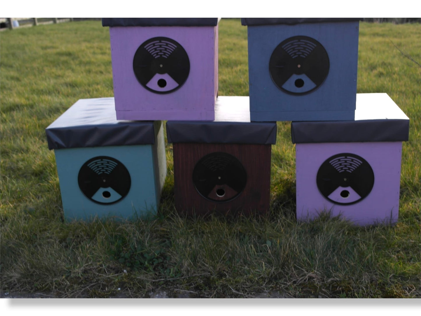 Swarm Trap - Donagh Bees