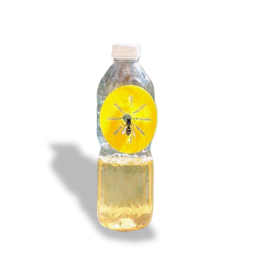 Wasp Trap (2 Pack)-Donagh Bees