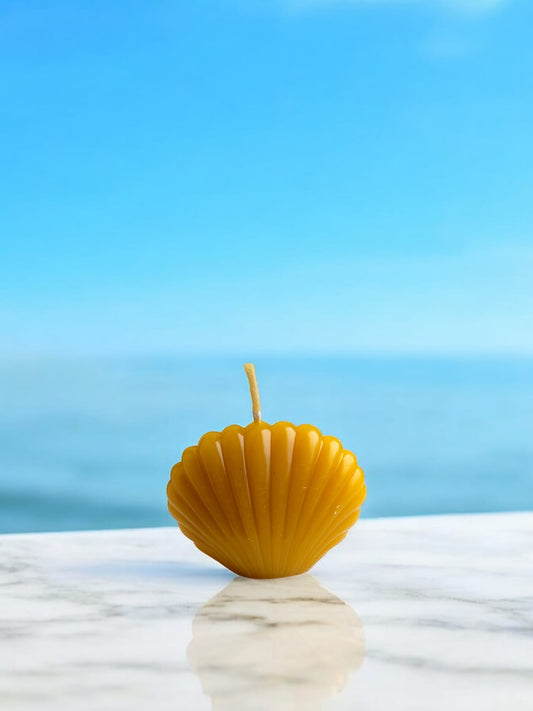 Small Seashell Candle