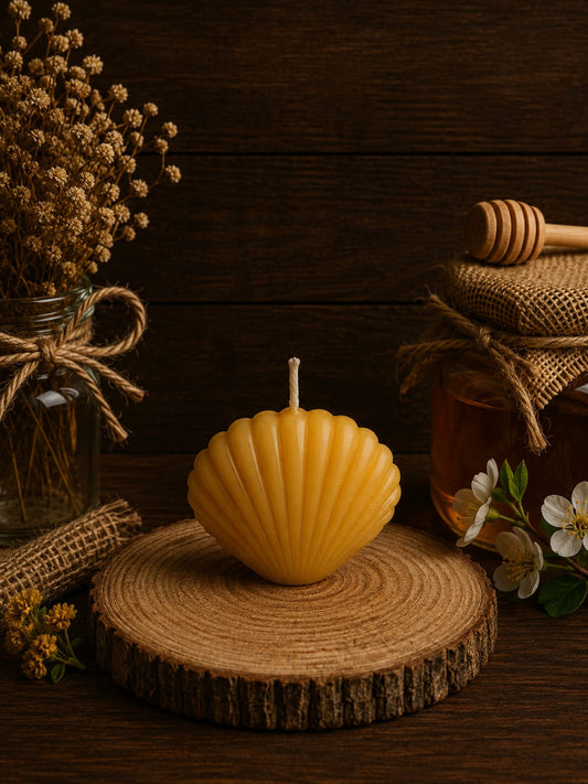Small Seashell Candle