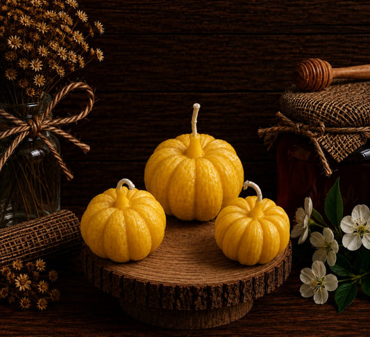 Pumpkin Beeswax Candle Set
