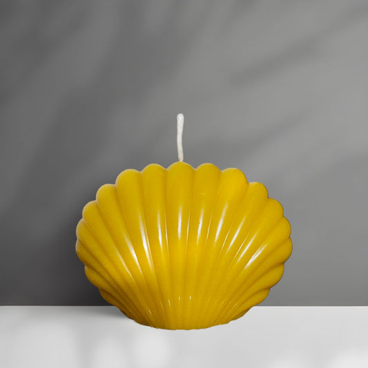 Shell Beeswax Candle