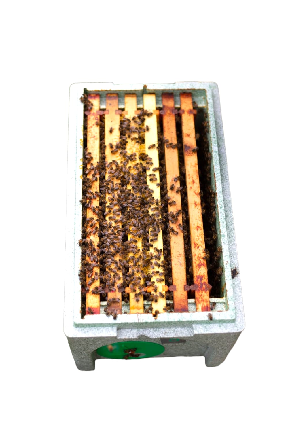National Nuc of Bees - Donagh Bees