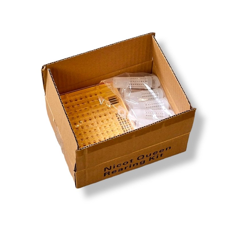 Queen Rearing – Donagh Bees